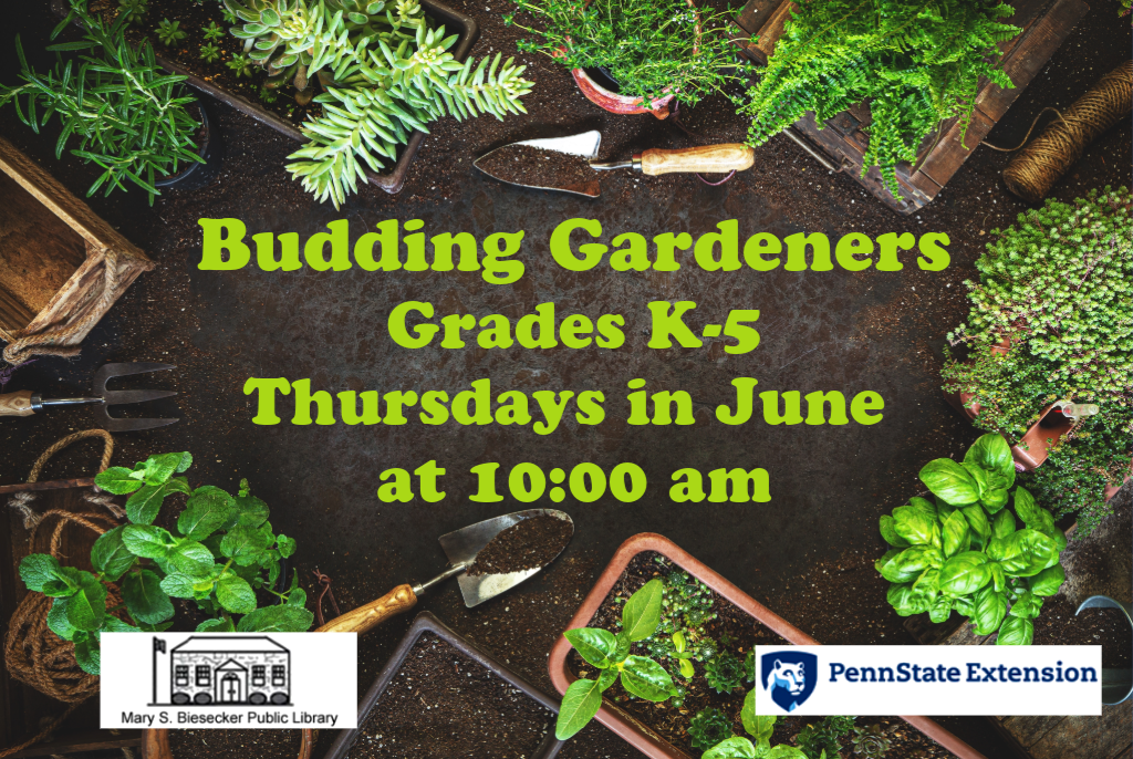 image for budding gardeners program